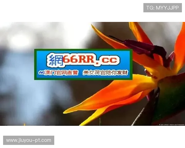 稳定可靠的ag九游地址官方入口，助你轻松开启游戏新体验